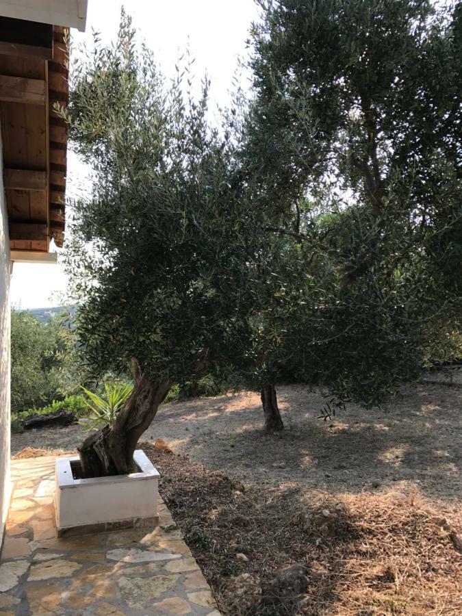 Ferienhaus Olive Garden Kyparissia Exterior photo